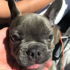 Meet your Posher, Aidan